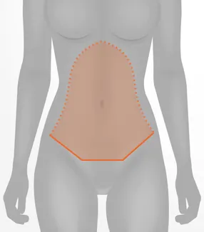 bwc-1-illustratie-web-v1.webp