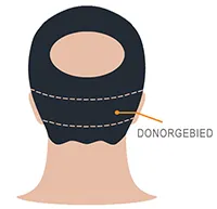donorgebied-voor-in-blog_001.webp